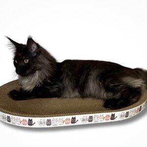 Cozy Cat Scratching Pad with Cat Print Border